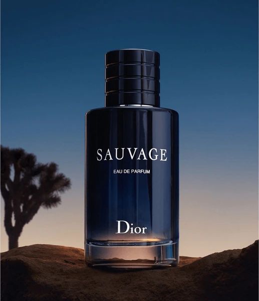 DIOR SAVAGE 100ML